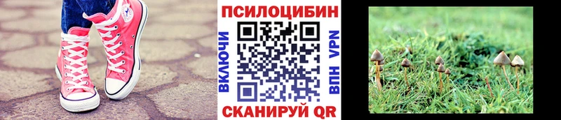 Псилоцибиновые грибы Psilocybine cubensis  Феодосия 