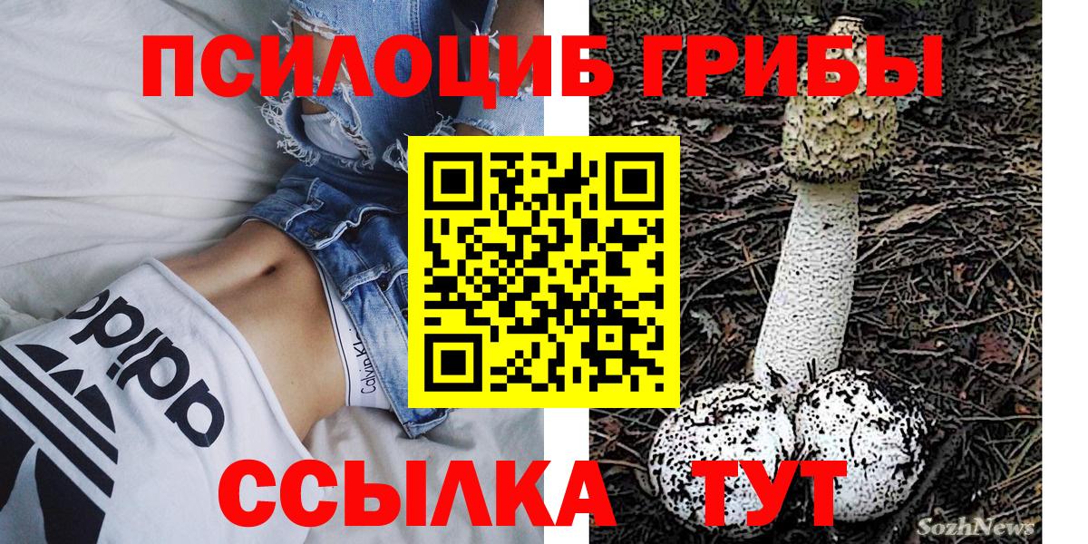 Галлюциногенные грибы Cubensis Феодосия